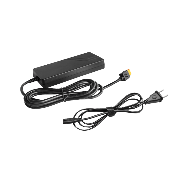Adaptateur d'alimentation CA EcoFlow