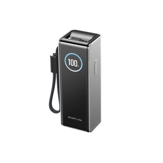 Batterie externe EcoFlow RAPID (25 000 mAh, 170 W, 100 W, câbles rétractables intégrés) Silver