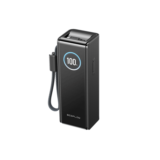 Batterie externe EcoFlow RAPID (25 000 mAh, 170 W, 100 W, câbles rétractables intégrés) Black