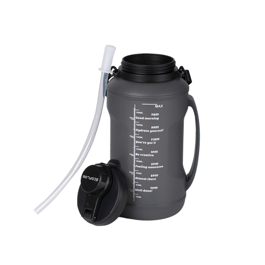Bouteille d'eau pliable EcoFlow (Free)