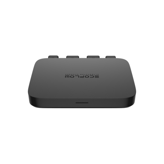 Chargeur de batterie de voiture EcoFlow (800 W) Chargeur de batterie de voiture