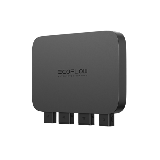 Chargeur de batterie de voiture EcoFlow (800 W)