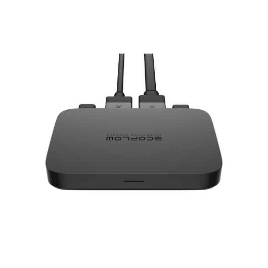 Chargeur de batterie de voiture EcoFlow (800 W) + WAVE 2 + Batterie supplémentaire