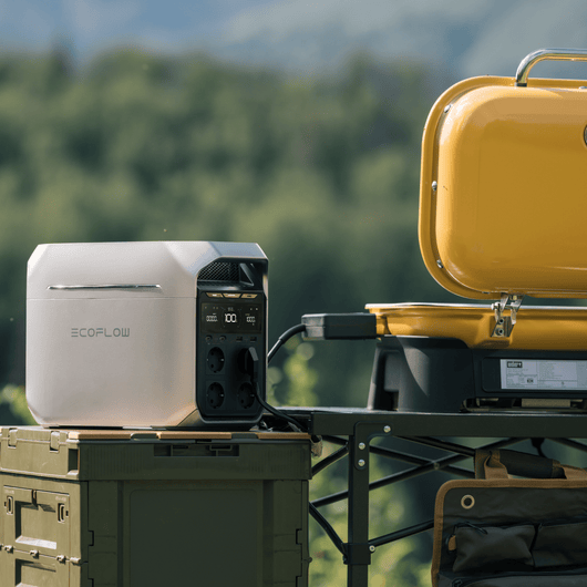 Générateur solaire de la gamme EcoFlow DELTA 3 (PV220W)