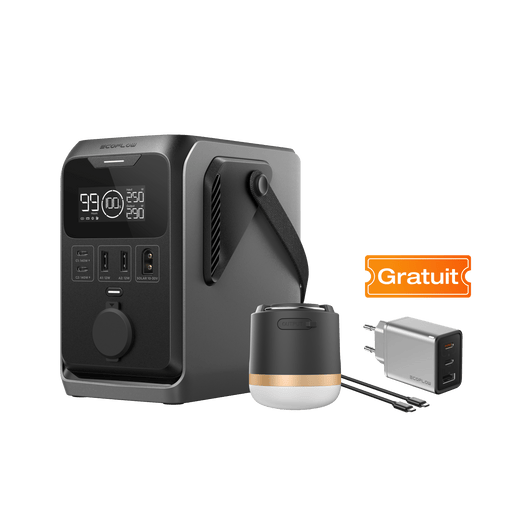 Station électrique portable à courant continu EcoFlow TRAIL TRAIL 300 DC+Lampe de camping