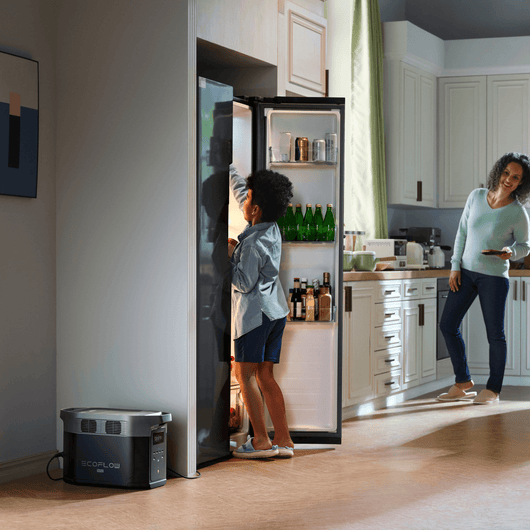 Station électrique portable EcoFlow DELTA 2 Max (reconditionnée)