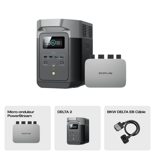 Station électrique portable EcoFlow DELTA 2 (reconditionnée) DELTA 2 (reconditionnée) + Micro-onduleur PowerStream 800 W (Câble de batterie inclus)