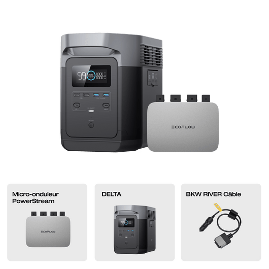 Station électrique portable EcoFlow DELTA (reconditionnée) DELTA 1300 (reconditionnée) + Micro-onduleur PowerStream 800 W (Câble de batterie inclus)