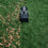 I18n Error: Missing interpolation value "ImageAlt" for "Chargez l'image dans la visionneuse de la galerie, {{ ImageAlt }}"