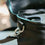 I18n Error: Missing interpolation value "ImageAlt" for "Chargez l'image dans la visionneuse de la galerie, {{ ImageAlt }}"