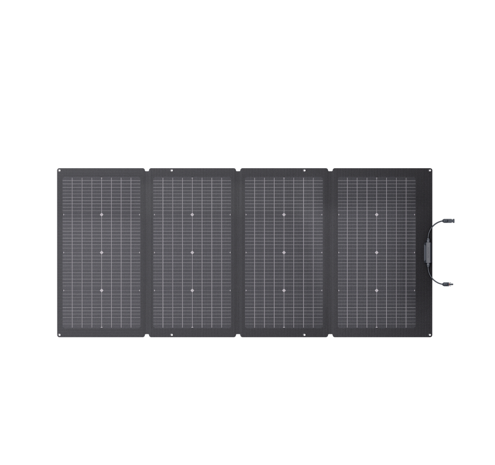 Panneau solaire bifacial 220 W