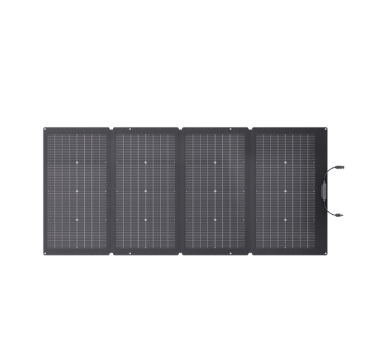 Panneau solaire bifacial 220 W