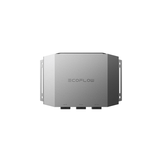 Chargeur d’alternateur EcoFlow 1000 W + EcoFlow DELTA 2 Chargeur d’alternateur + DELTA 2