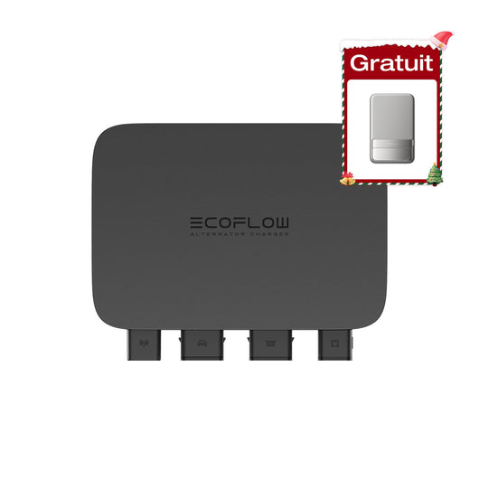 Chargeur d’alternateur EcoFlow 800 W Chargeur d’alternateur