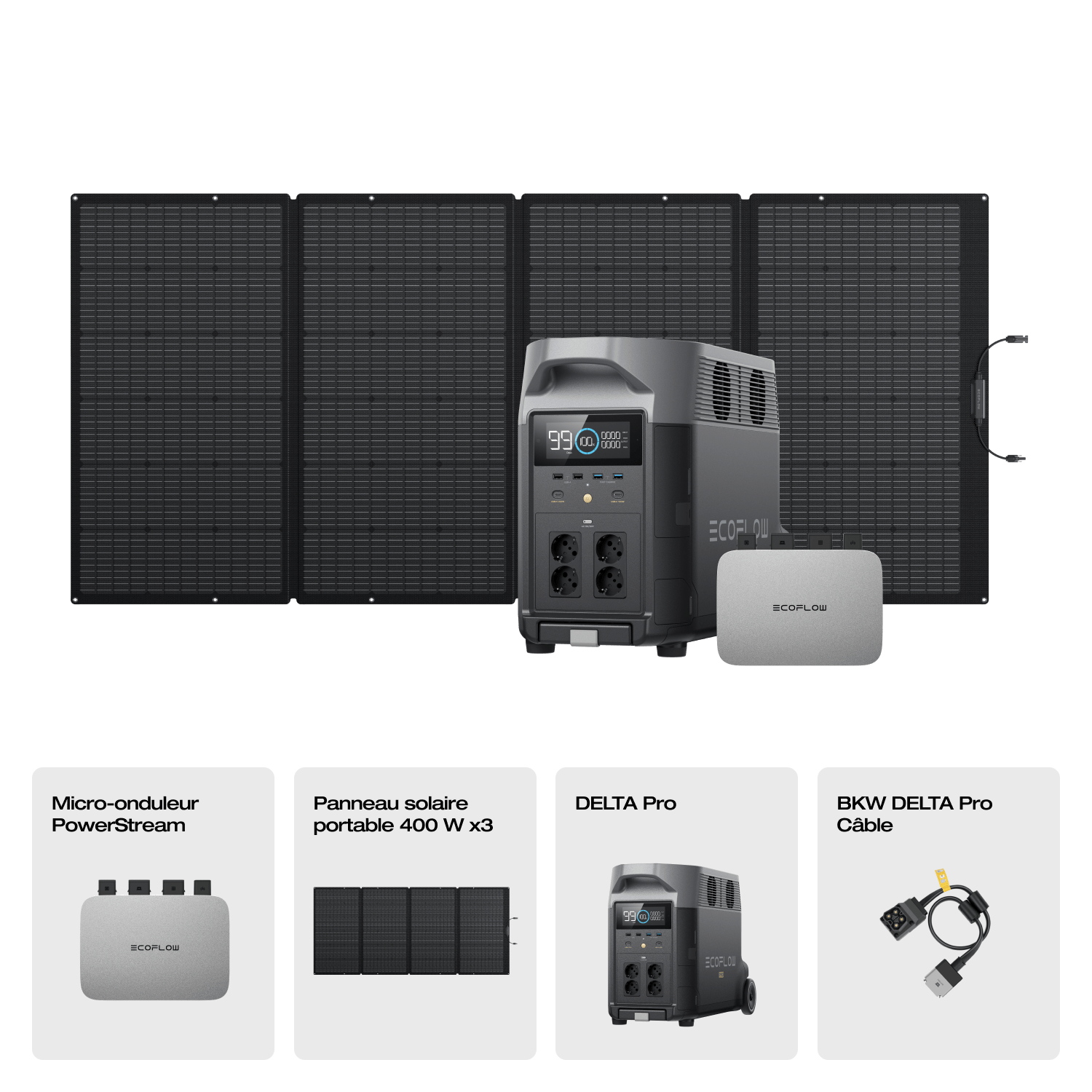 EcoFlow DELTA Pro Générateur solaire (Portable PV400W)