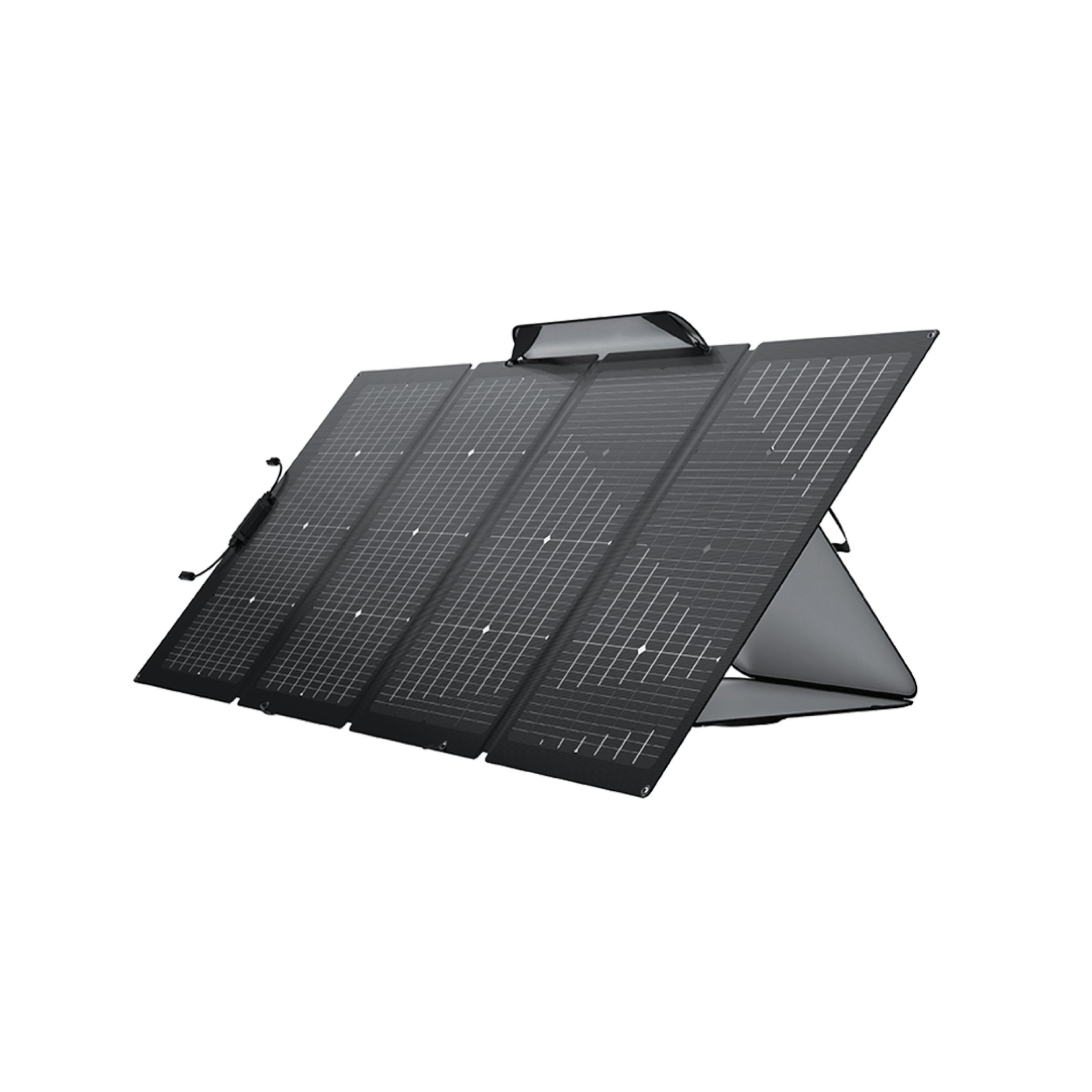 » Panneau solaire bifacial portable EcoFlow 220 W (100% off)