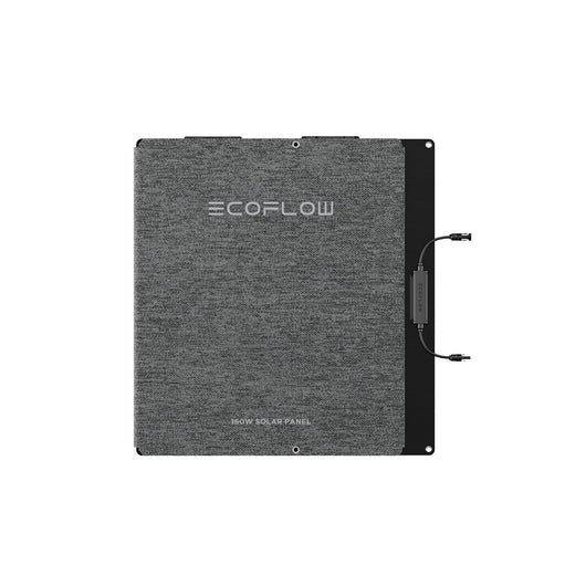 Panneau solaire portable EcoFlow 160 W Panneau solaire portable 160 W