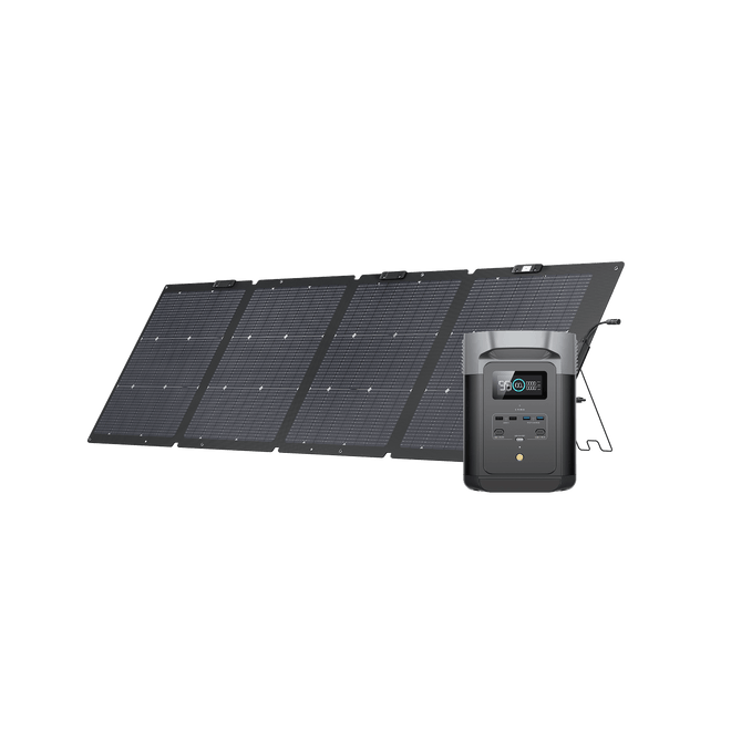 Station électrique portable EcoFlow DELTA 2 DELTA 2 + Panneau solaire bifacial 220 W