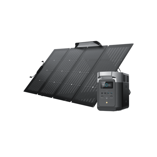 Station électrique portable EcoFlow DELTA 2 DELTA 2 + Panneau solaire bifacial 220 W