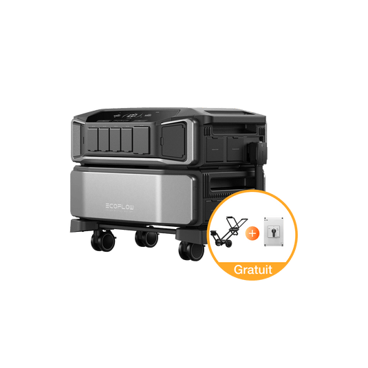 Station électrique résidentielle EcoFlow DELTA Pro Ultra DELTA Pro Ultra + commutateur de transfert manuel GRATUIT