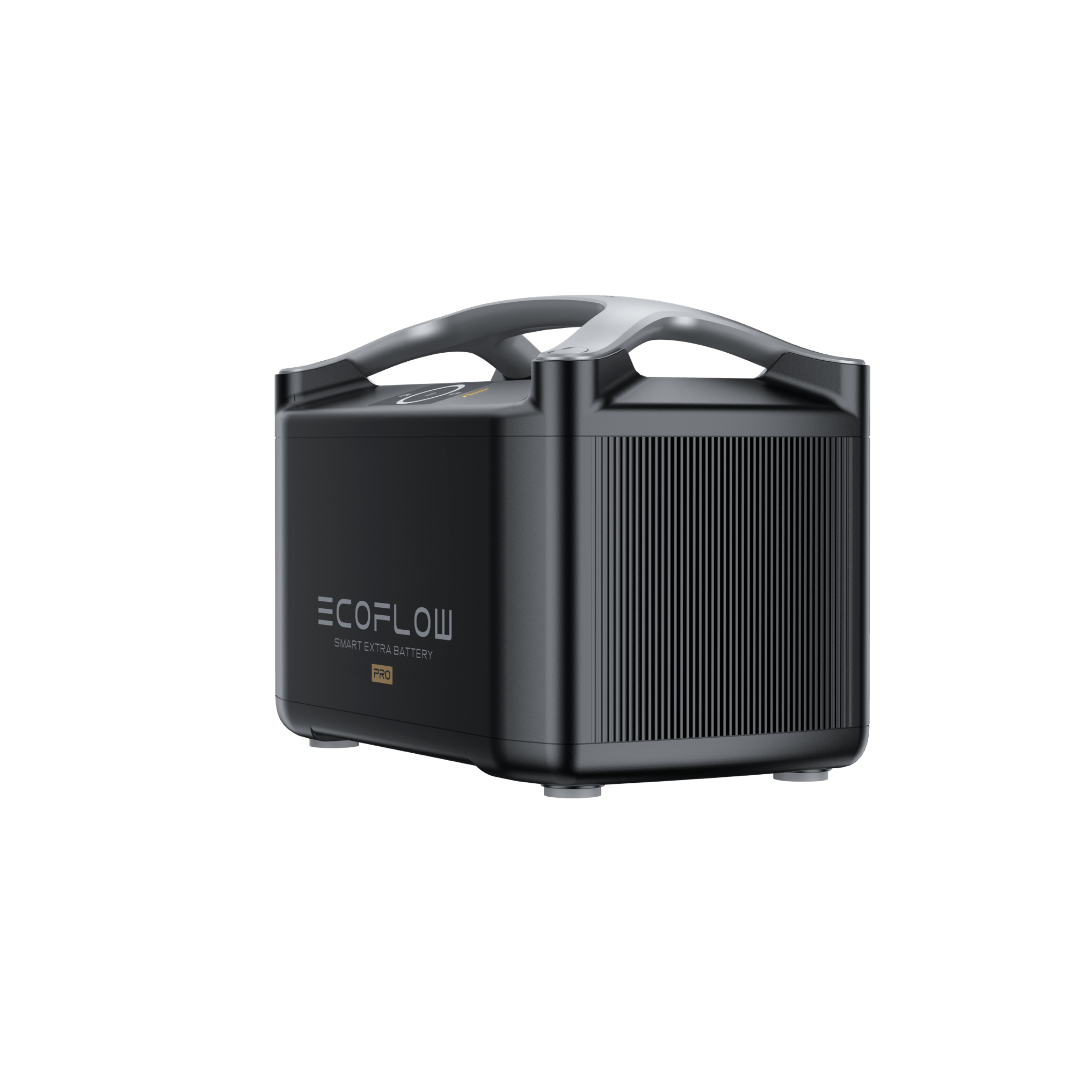 EcoFlow RIVER Pro Extra Battery (batterie supplémentaire RIVER Pro)